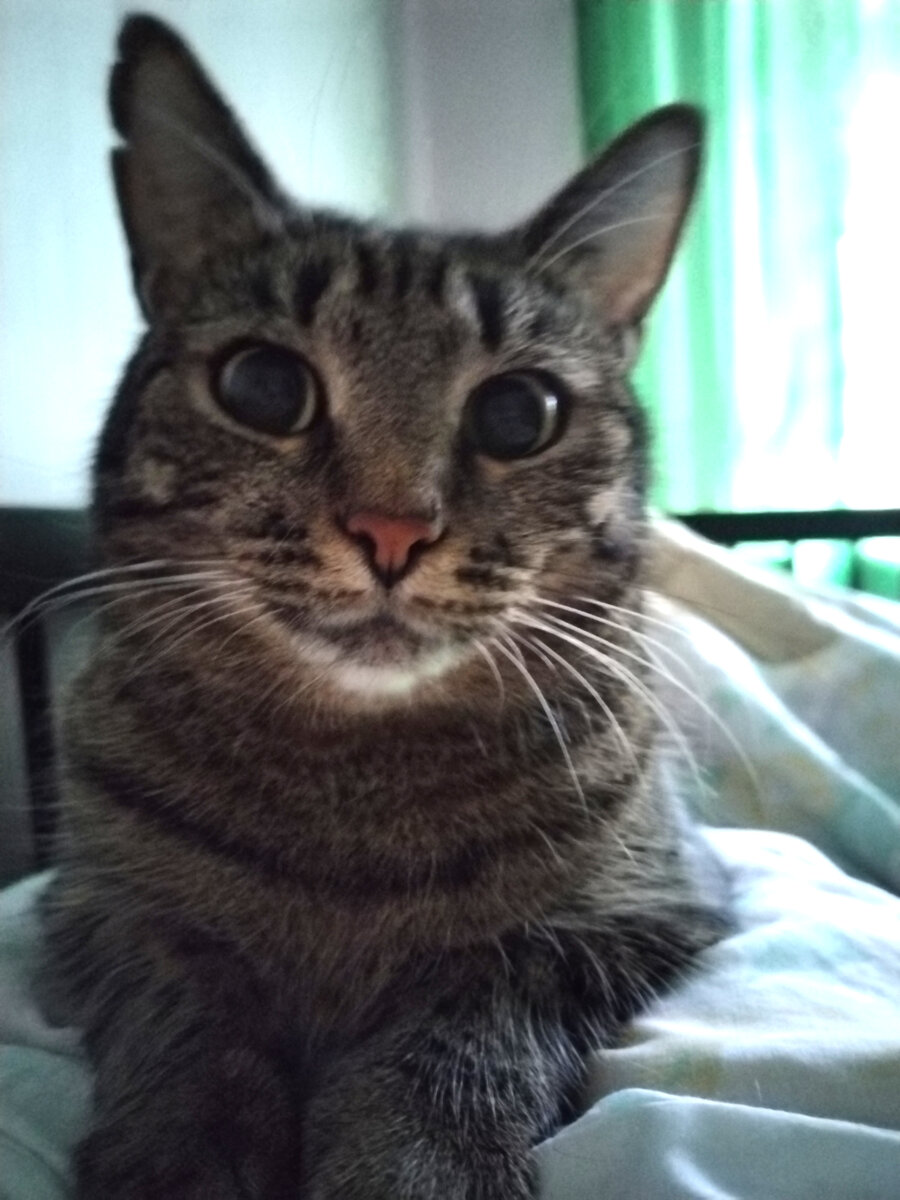 Катя. Фото: Людмила