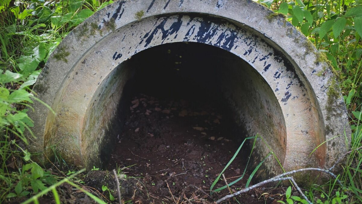     Водный барьер для нейтрализации запаха заработает в тестовом режиме. Об этом сообщил в соцсетях мэр города Владимир Любарский.