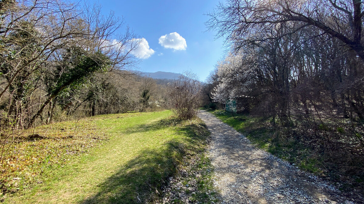 Где-то в горах под Геленджиком, апрель 2023 года
