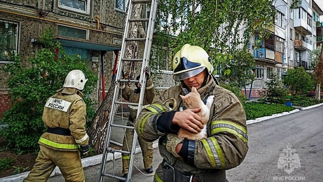     Спасатели сняли животное с дерева и передали хозяевам.