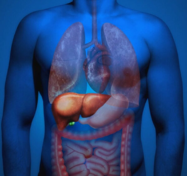 картинка из открытого источника "яндекс-картинки"