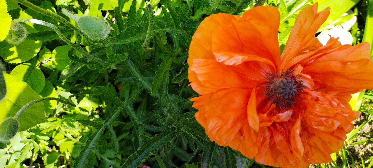 Фото автора канала