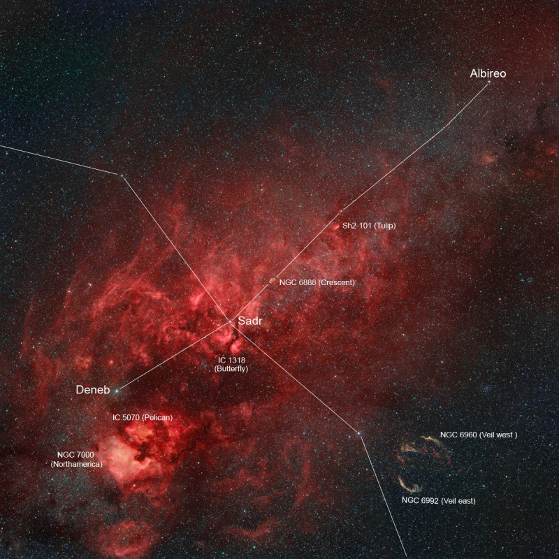 Nebulae in the Northern Cross Credit & Copyright: Rolf Geissinger
