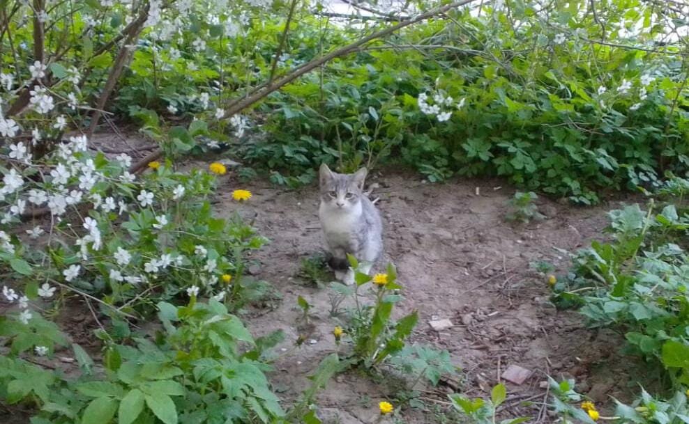 Нас ждут там новые знакомства