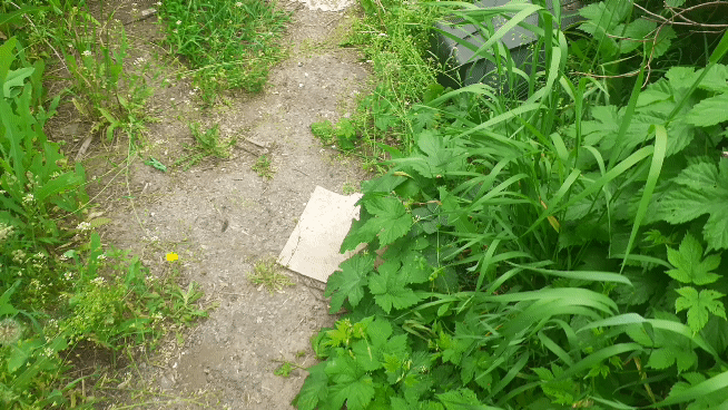 Это анимация, если не проигрывается сама - кликни мышкой!