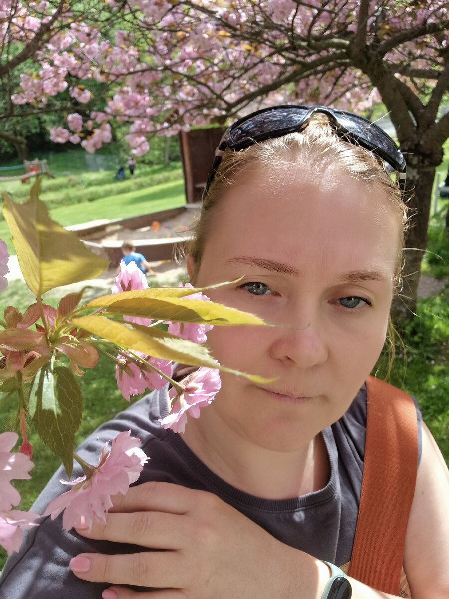 Привет из сакур))