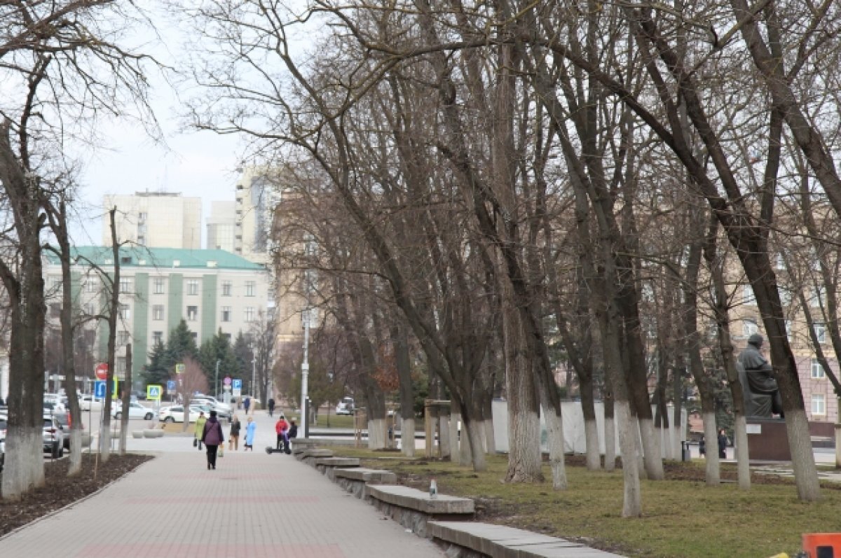    Власти Ноябрьска обновят концепцию сквера