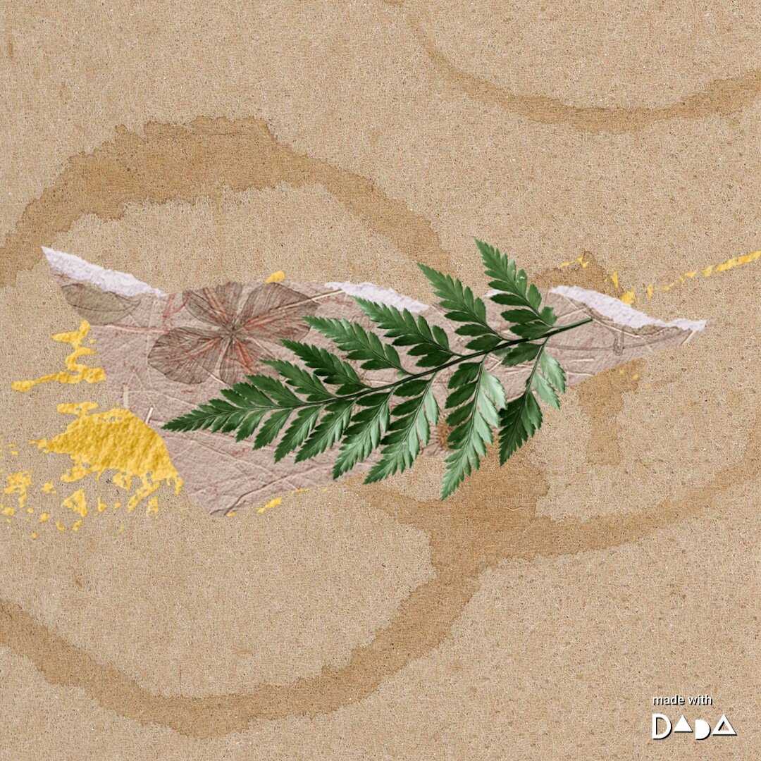 Коллаж автора мительная 