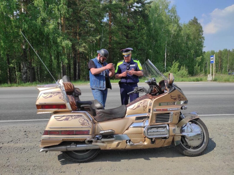 Фото: УМВД России по Челябинской области