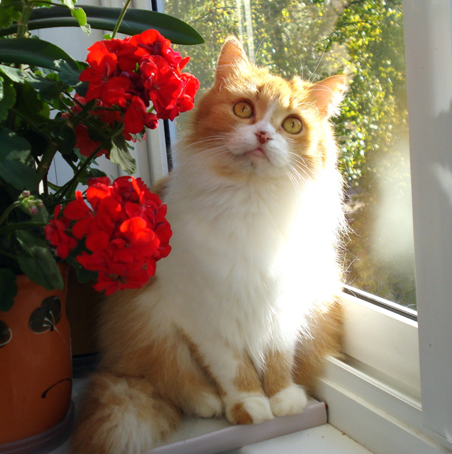 Источник: Яндекс картинки