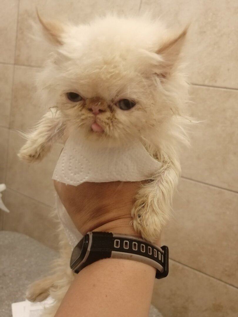 Первый раз держу его в руках у УЗИСТа, начало сентября 2021 г. 