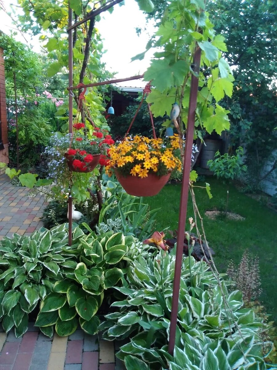 фото сада моей подруги Натальи из Краснодара 