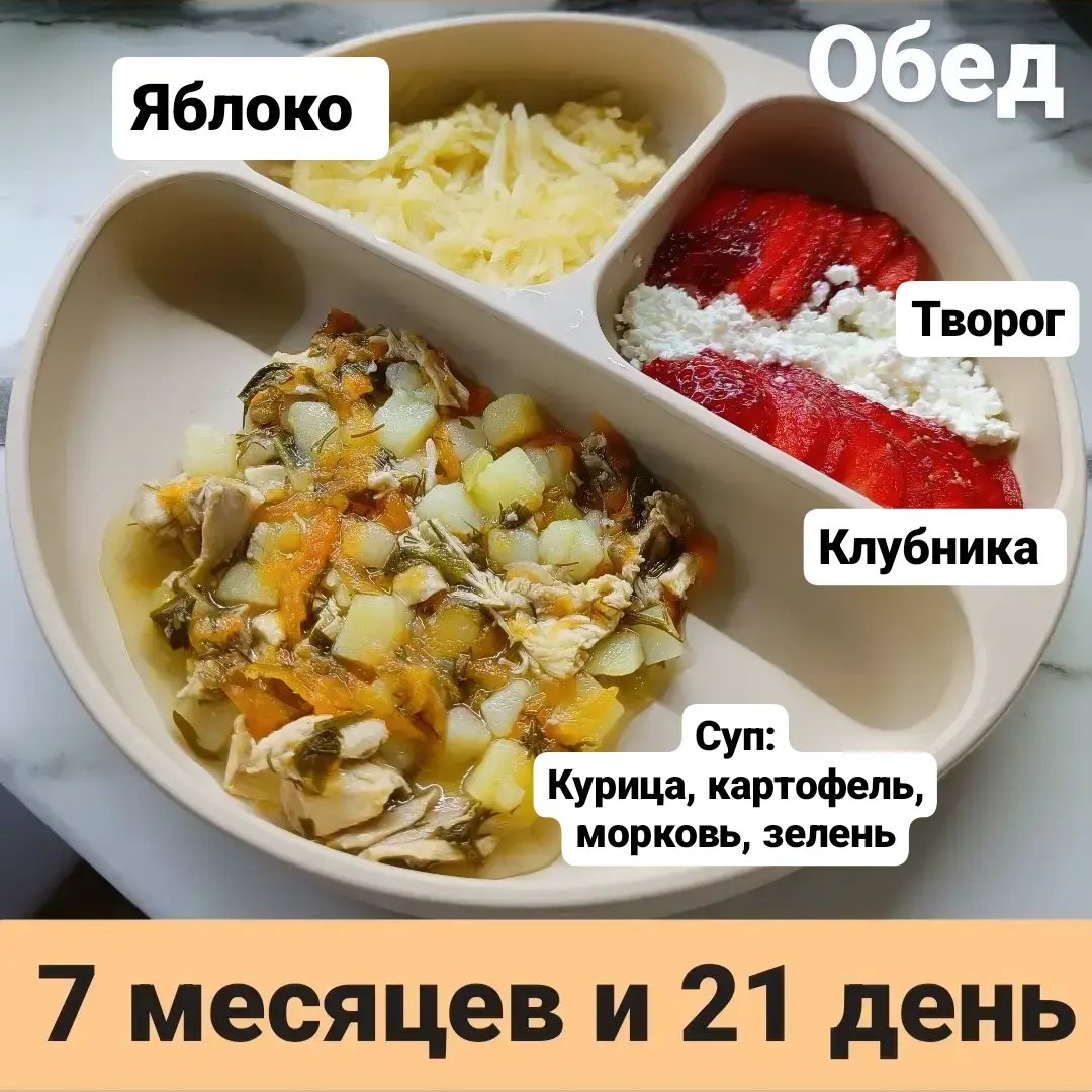 Пример тарелки в 7 месяцев 