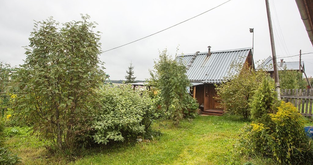 Дачников и владельцев частных домов ждет новый штраф