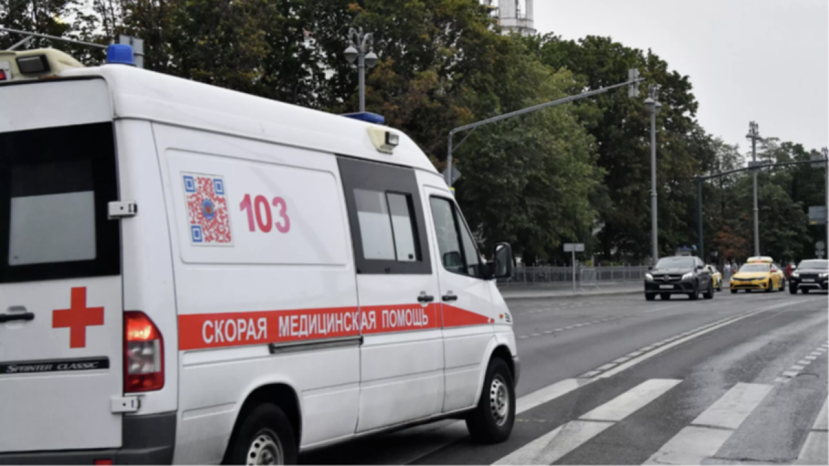    Бойцовая собака напала на 10-летнего мальчика на пляже под Нижним Тагилом