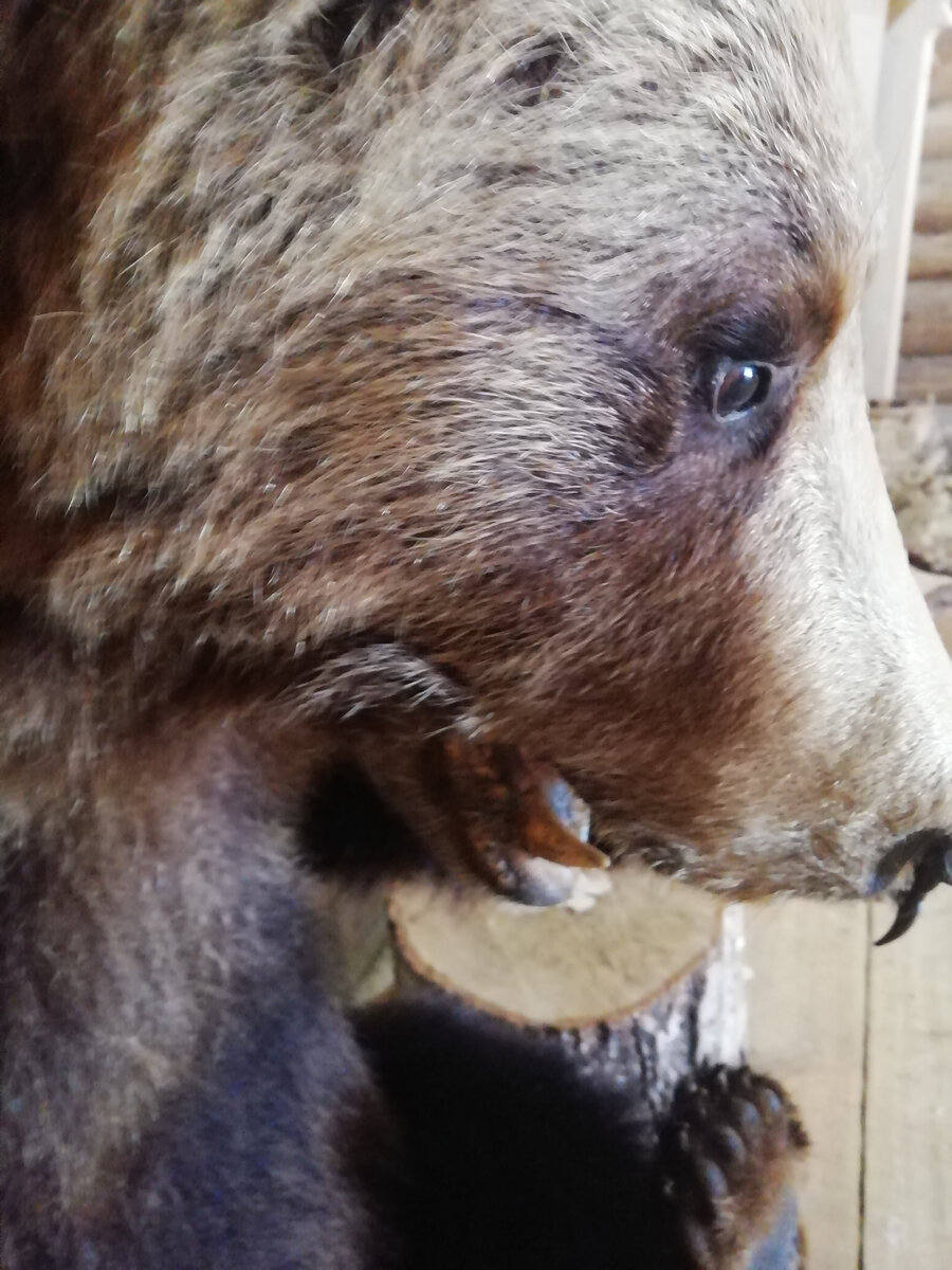 Фотография автора, сделана в усадьбе "Покровское", Вологодской области