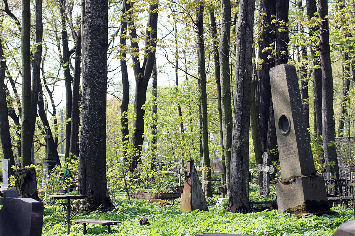 старое волковское кладбище спб. волковское лютеранское кладбище в санкт-петербурге. санкт-петербург некрополь волковского кладбища. сколько кладбищ в санкт петербурге. сколько кладбищ в санкт петербурге.