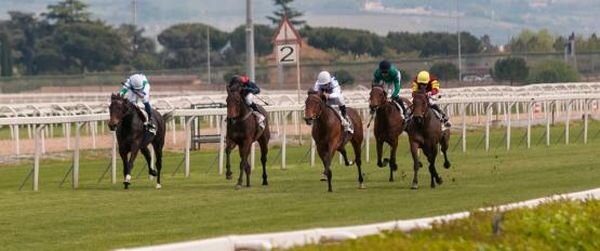 Источник фото: pixabay