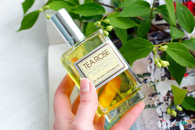 The Perfumer’s Workshop Tea Rose