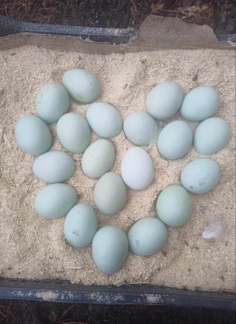 Фото без фильтров 