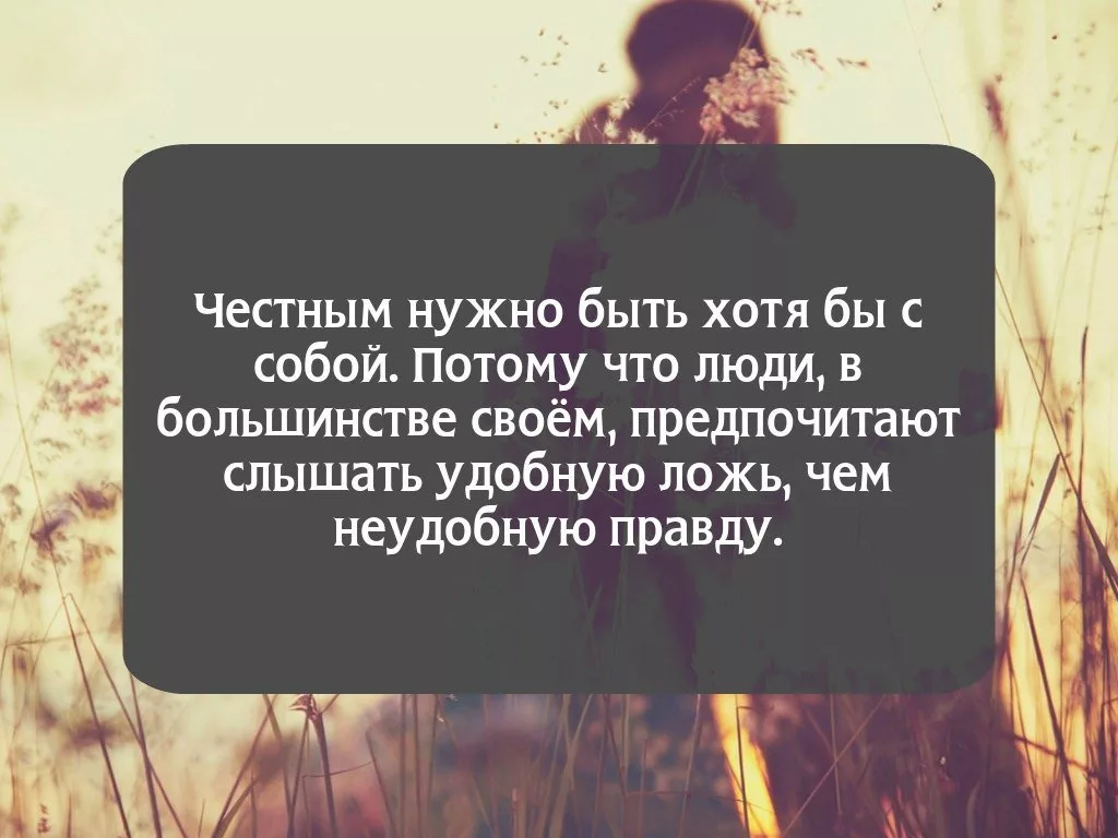 Как заставить человека говорить правду? - Дерзкий совет дал Генри Торо |  Мудрая Тереза | Дзен