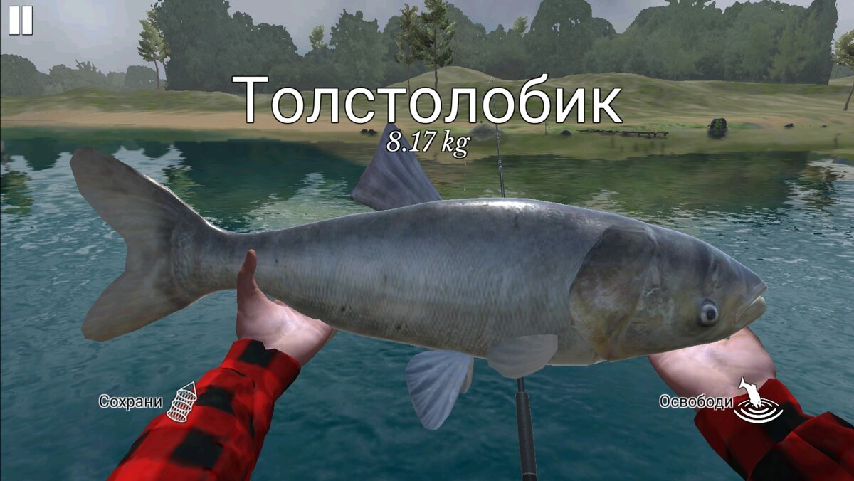 Ultimate Fishing Simulator. Симулятор рыбалки - полный релакс |  Двемер&Госпожа Терана | Дзен