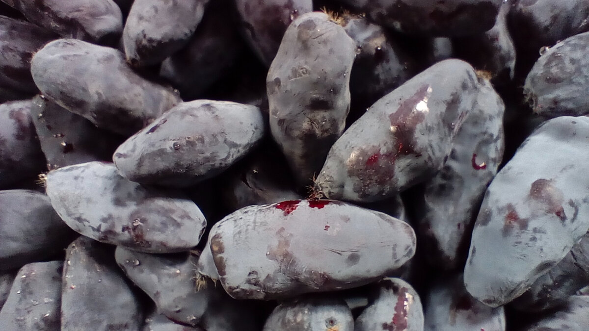 На вид тёмно-синяя