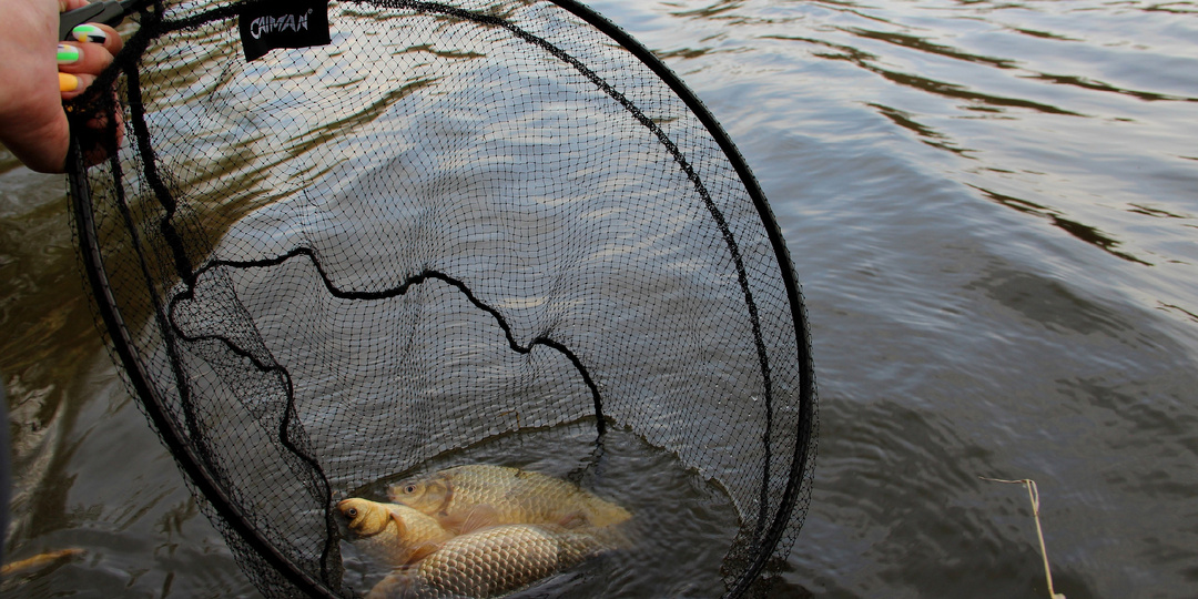 Выбираем фидерное удилище под свои задачи.