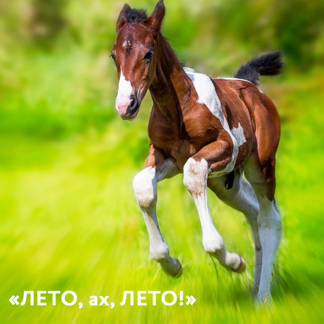 картинка из поиска яндекс