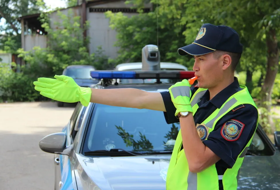 При таких доходах от "дороги", зачем местным Гашникам еще и зарплата