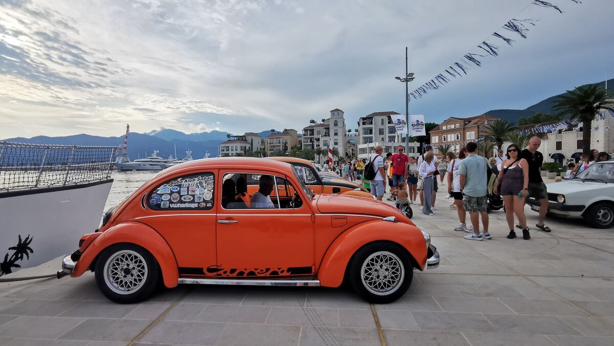 Выставка VW Beetle на фоне моря | Quto | Дзен