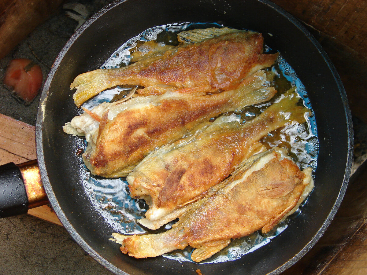 Фото В.В. Гшушенков