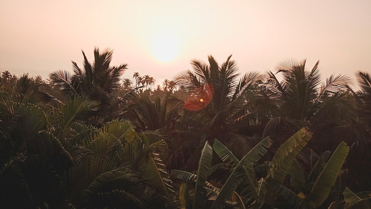     В Приморье ожидается настоящее тропическое потепление — прямо вслед за мощным тропическим ливнем. Местами 13 июня льют сильные ливни, но скоро это изменится.