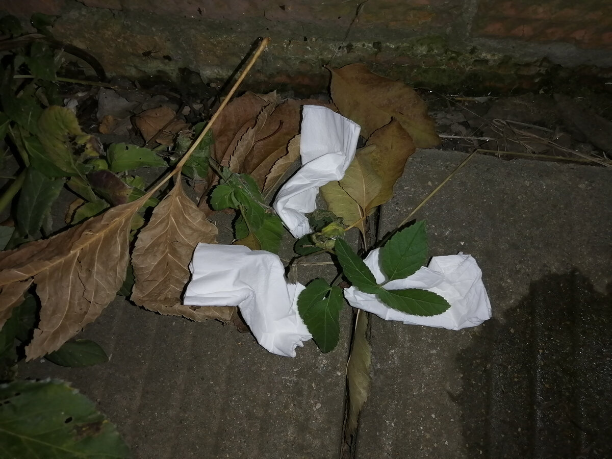 Да, это тоже подклад. До этого была медицинская маска, а буквально в прошлом месяце на этом же месте был найден кулек с солью. Попасть "случайно" все эти предметы сюда не могли - к этому месту нужно идти целенаправленно.