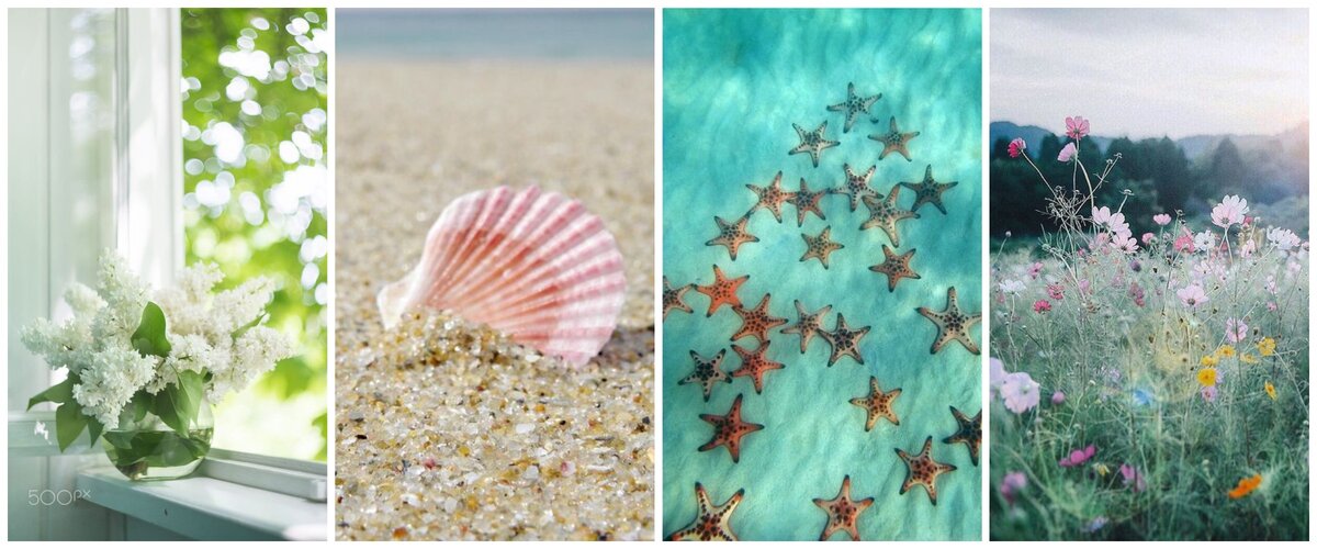 Май-июнь-июль-август. Иллюстрации взяты из открытых источников в сети. Коллажи авторские.