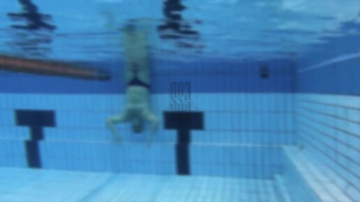 Как правильно плавать кролем? Все про ротацию корпуса | Школа плавания ...