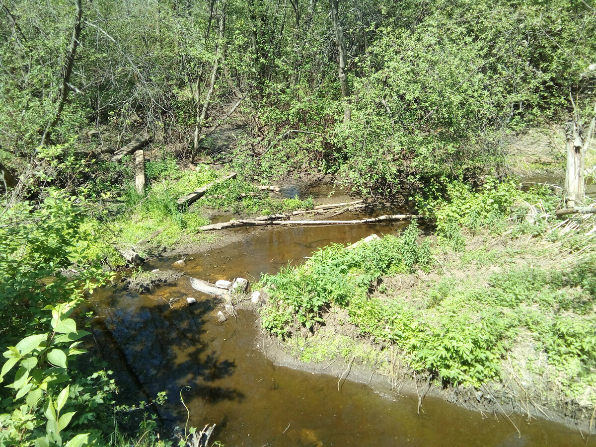 Речка Крутиха у Дальнего Березита