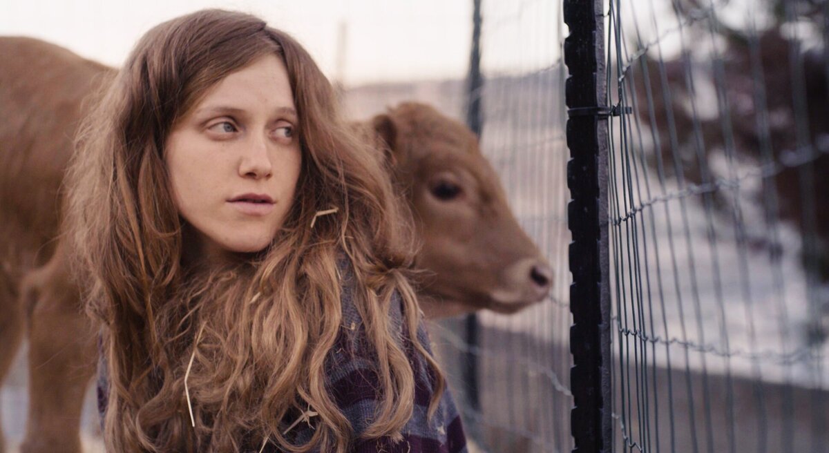 Кадр из фильма «Красная корова» (2018). Фото: Laila Films 