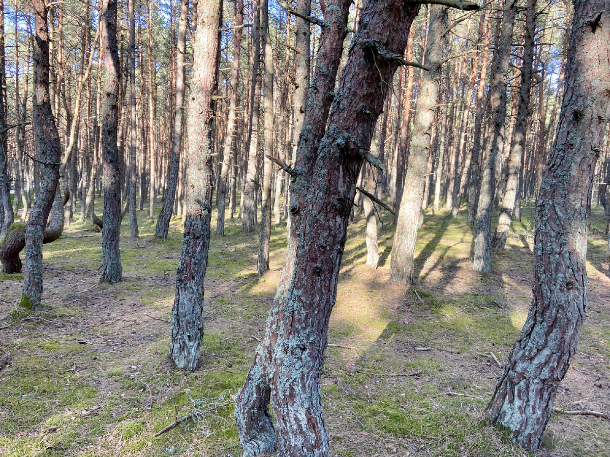 Фото из личного архива