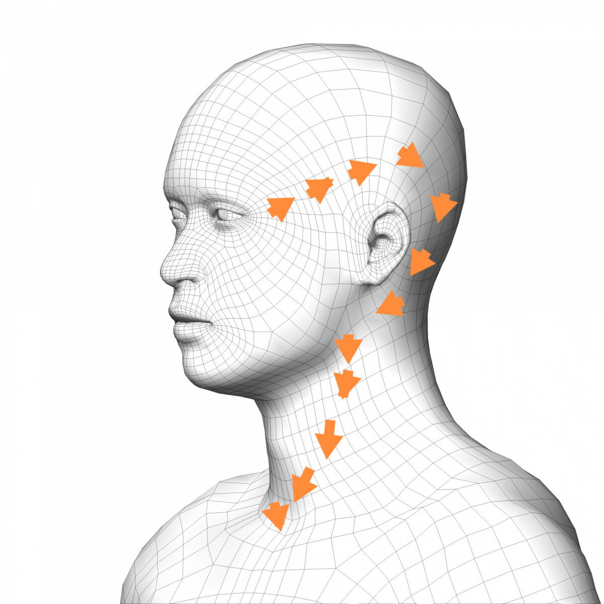 Асимметрия яремных. Подключичная вена топография. Асимметрия яремных. Асимметрия яремных. Асимметрия лица анатомия.