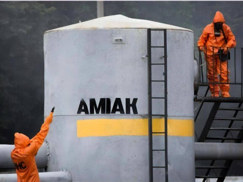 Яндекс. Картинки.