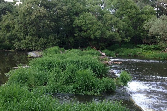    Какая погода ждет россиян на будущей неделе?