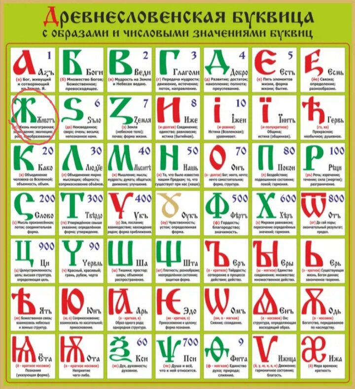 Фото из открытого источника
