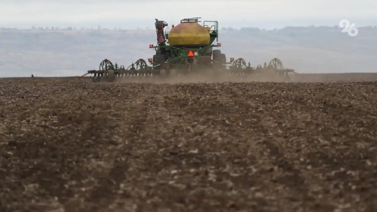 Фото:ИА «Победа26» Ставрополье продолжает сотрудничать с Китаем в аграрных вопросах