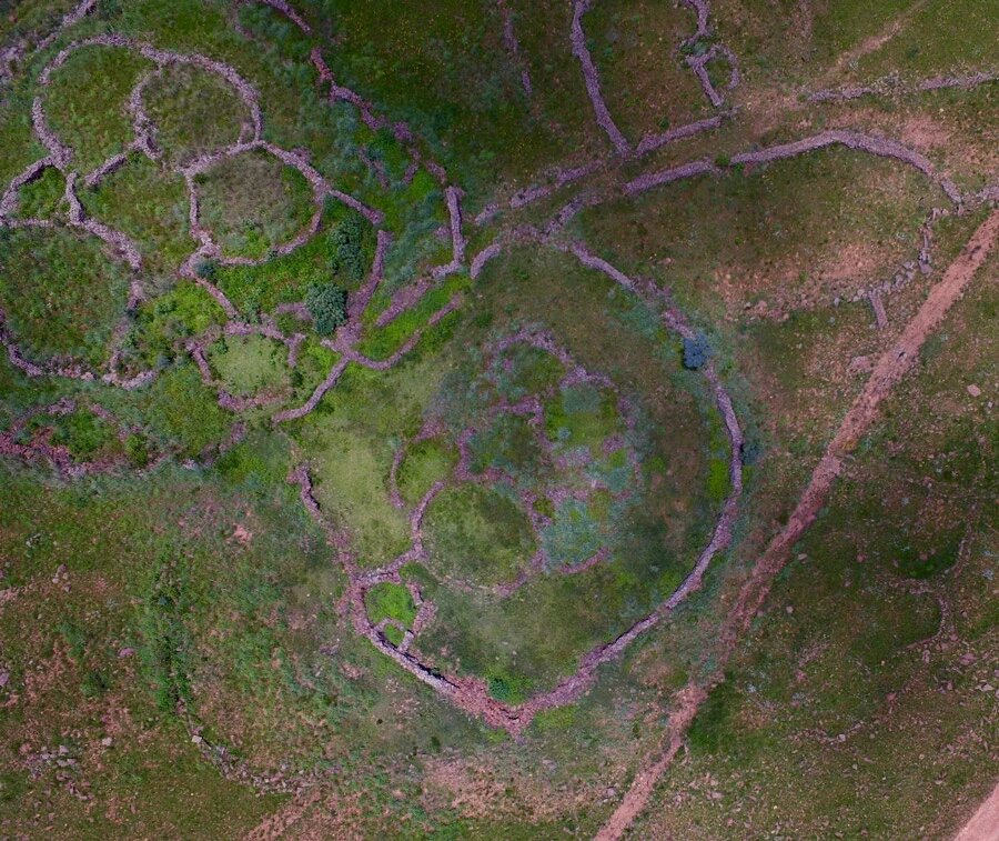 Странные круглые структуры можно обнаружить на обширной территории