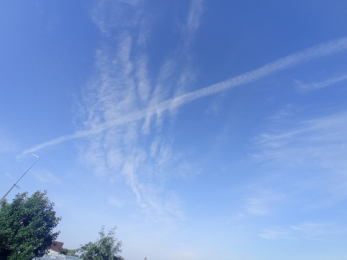 Птицу видите? 