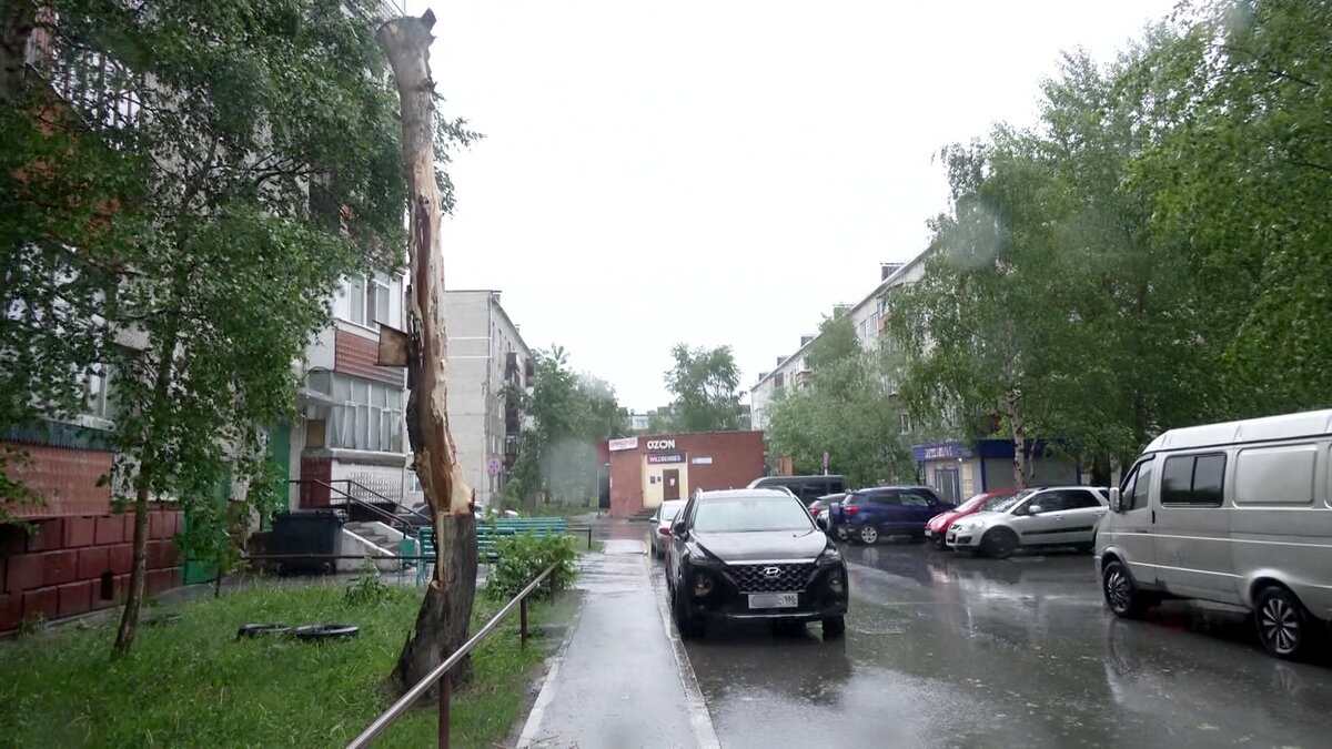    После штормового ветра в городах Югры убрали поваленные деревья и восстановили электроснабжение