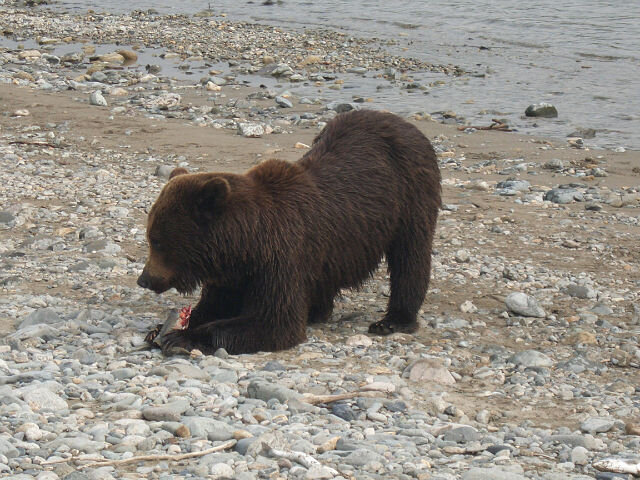 Фото Олега Слепнева, писателя рожденного в Усть-Омчуге! Снято под Сусуманом. Земляк!
