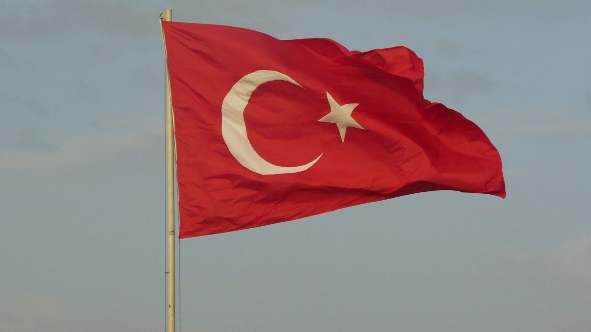    Фото: Unsplash Август Макаров