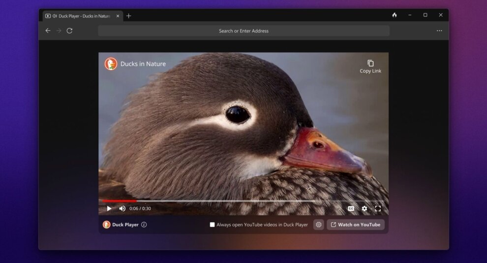    Браузер DuckDuckGo стал доступен для Windows